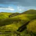 Best Drone Photos of 2020