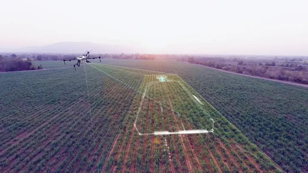 3D Mapping Drones