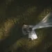 5 Reasons Why You Should Incorporate A Drone