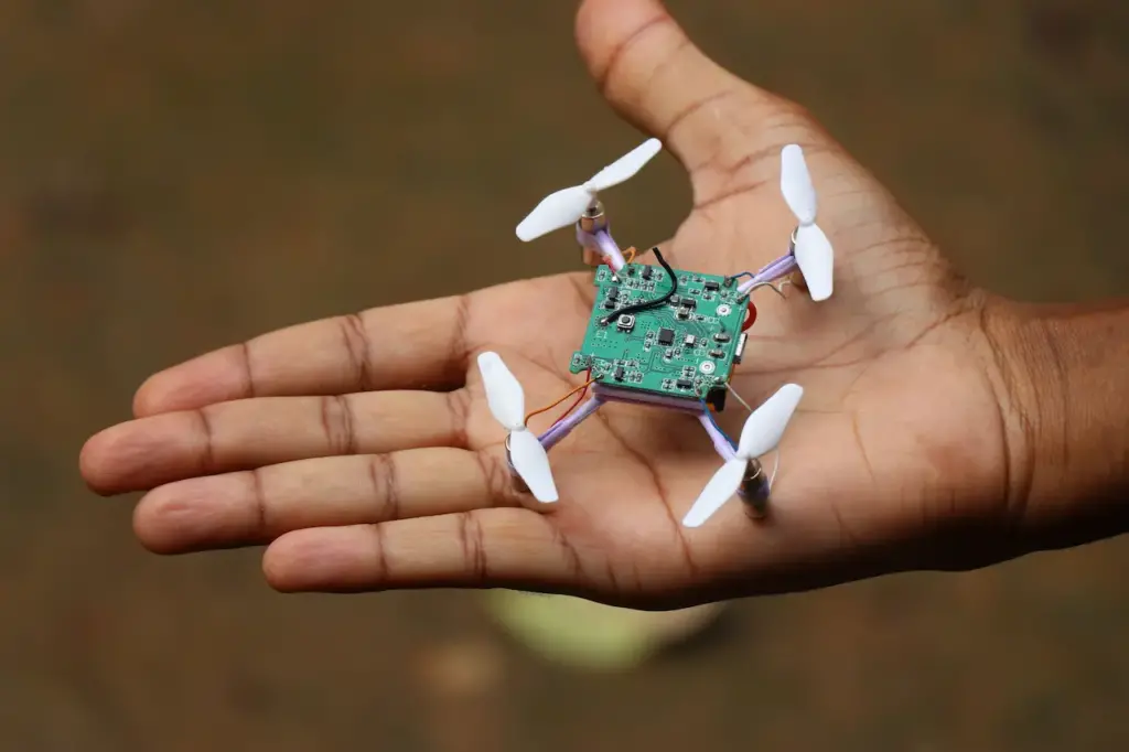 Insect-Inspired Eyes Give Sight to Mini Drone 
