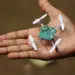 Insect-Inspired Eyes Give Sight to Mini Drone