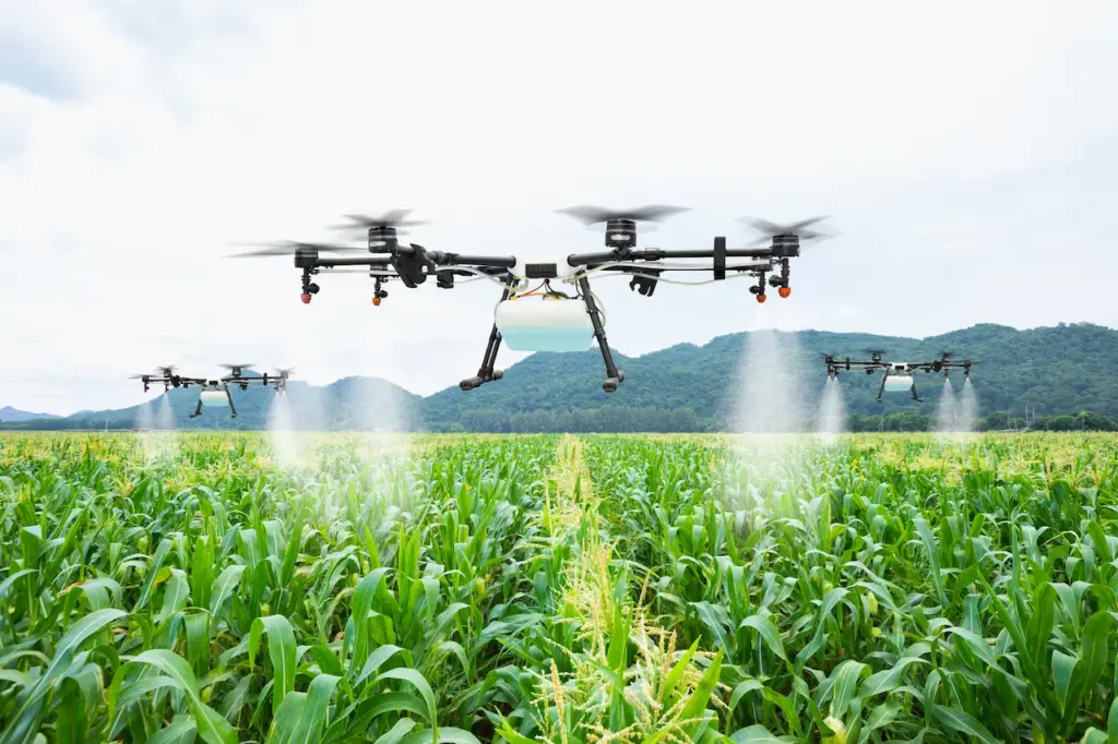 The Potential for Drones in Commercial Weed 